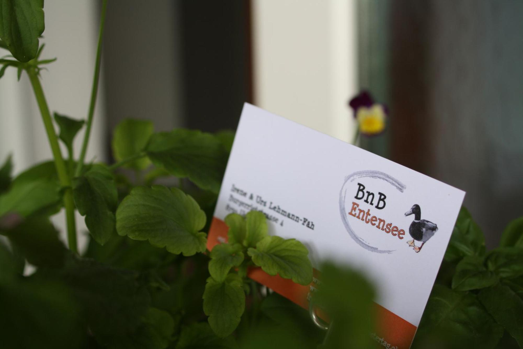 Bnb Entensee Uznach Екстер'єр фото